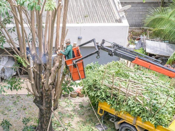 Nous procédons aux travaux cordés pour les intervention en hauteur.